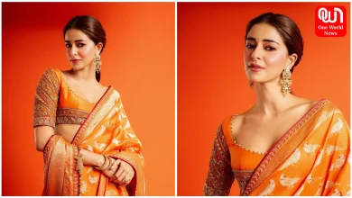 Ananya Panday Pics