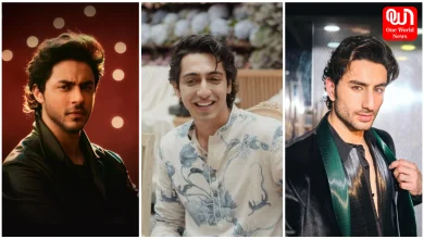 Bollywood Debuts 2025