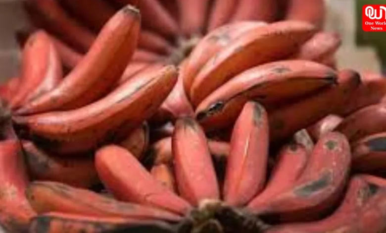 Different Types of Banana