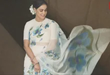 Genelia Deshmukh Saree Look
