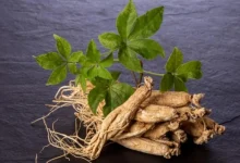 Ginseng Health Benefits