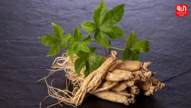 Ginseng Health Benefits