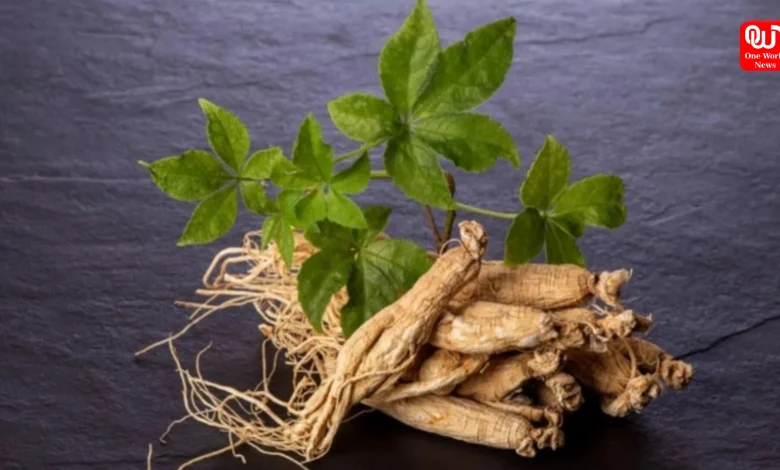 Ginseng Health Benefits