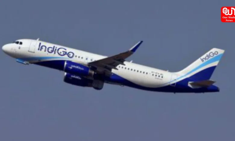 Indigo Flights Delayed