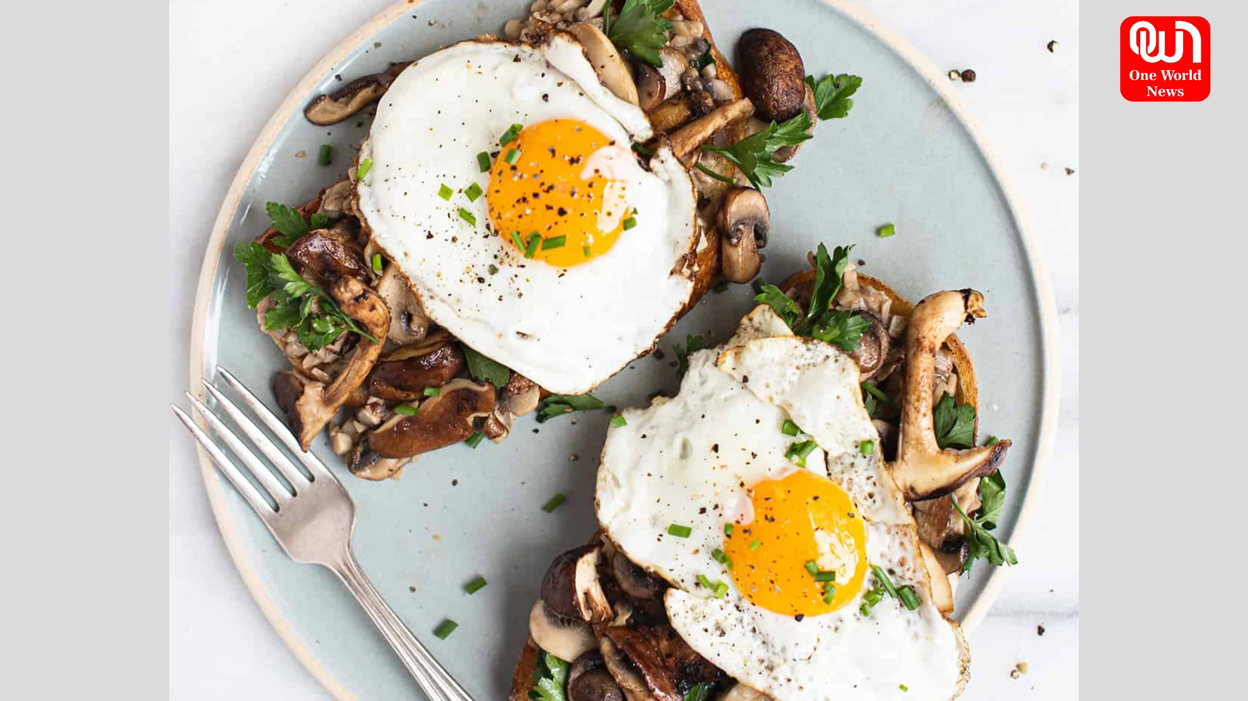 Mushroom Toast