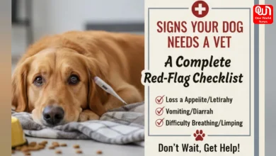 Signs Your Dog Needs a Vet Visit