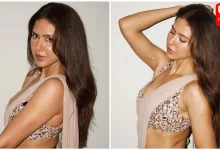 Sonam Bajwa Saree Look