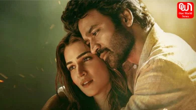 Tere Ishk Mein Review