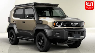 Toyota Mini Fortuner