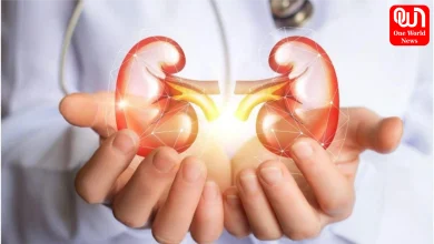 Which Habits Harm Kidney Health