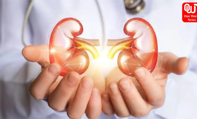 Which Habits Harm Kidney Health