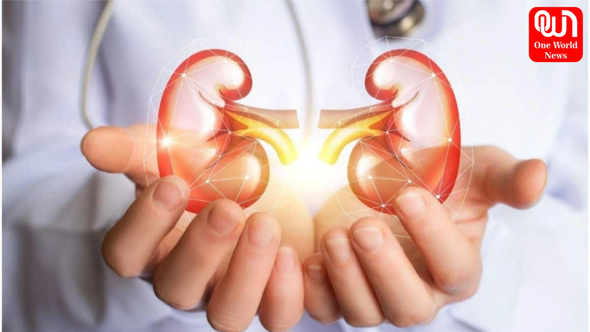 Which Habits Harm Kidney Health