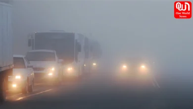 Winter Fog Driving Tips