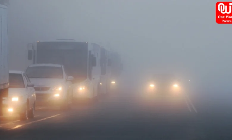 Winter Fog Driving Tips