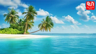 Best beaches for vacation