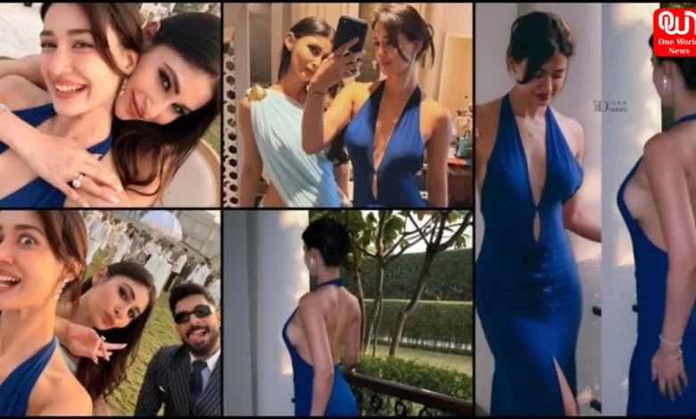 Bollywood Gossip