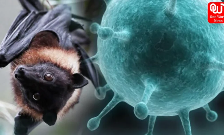 Nipah Virus