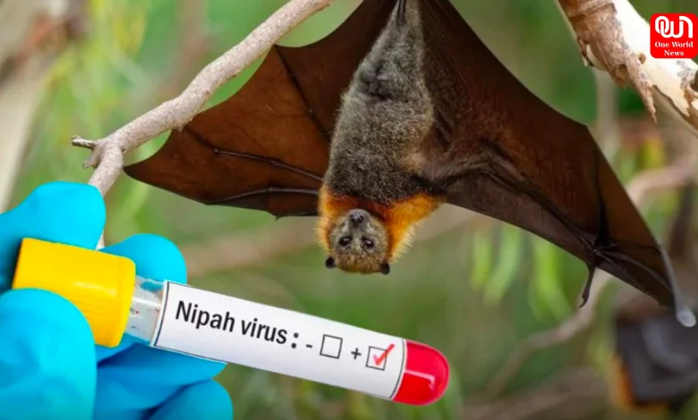 Nipah Virus in Bengal