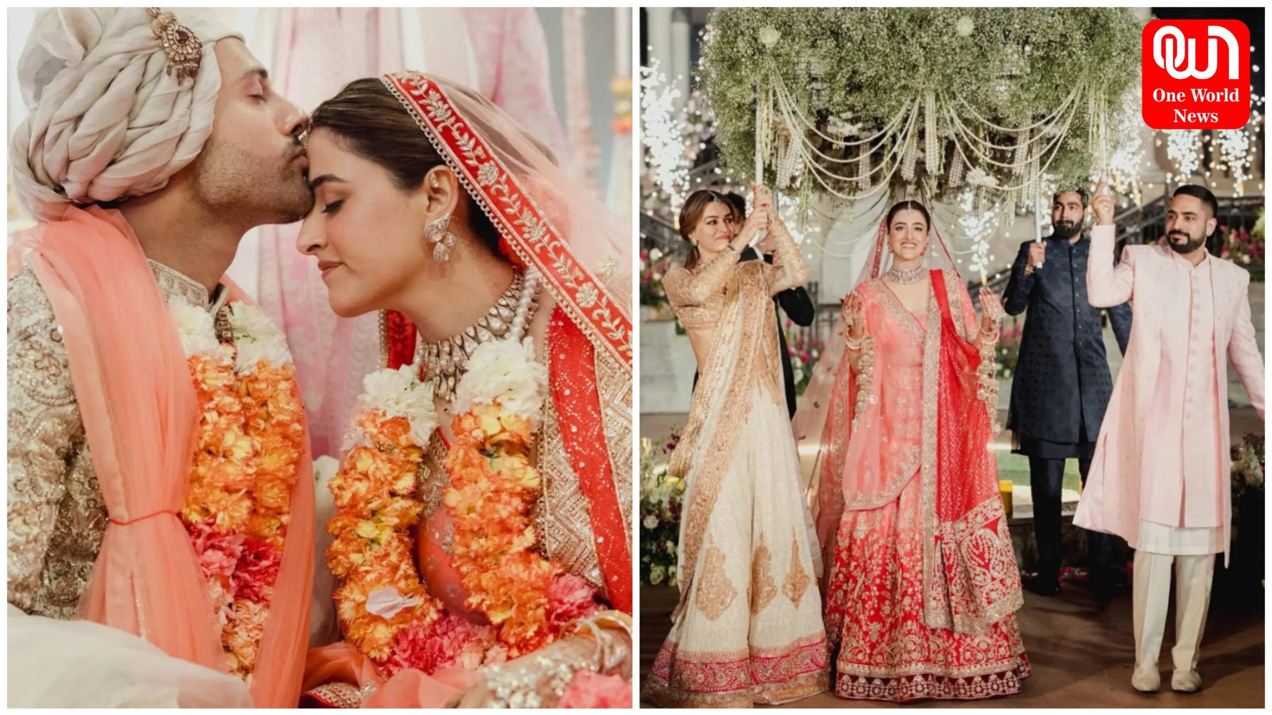 Stebin-Nupur Wedding