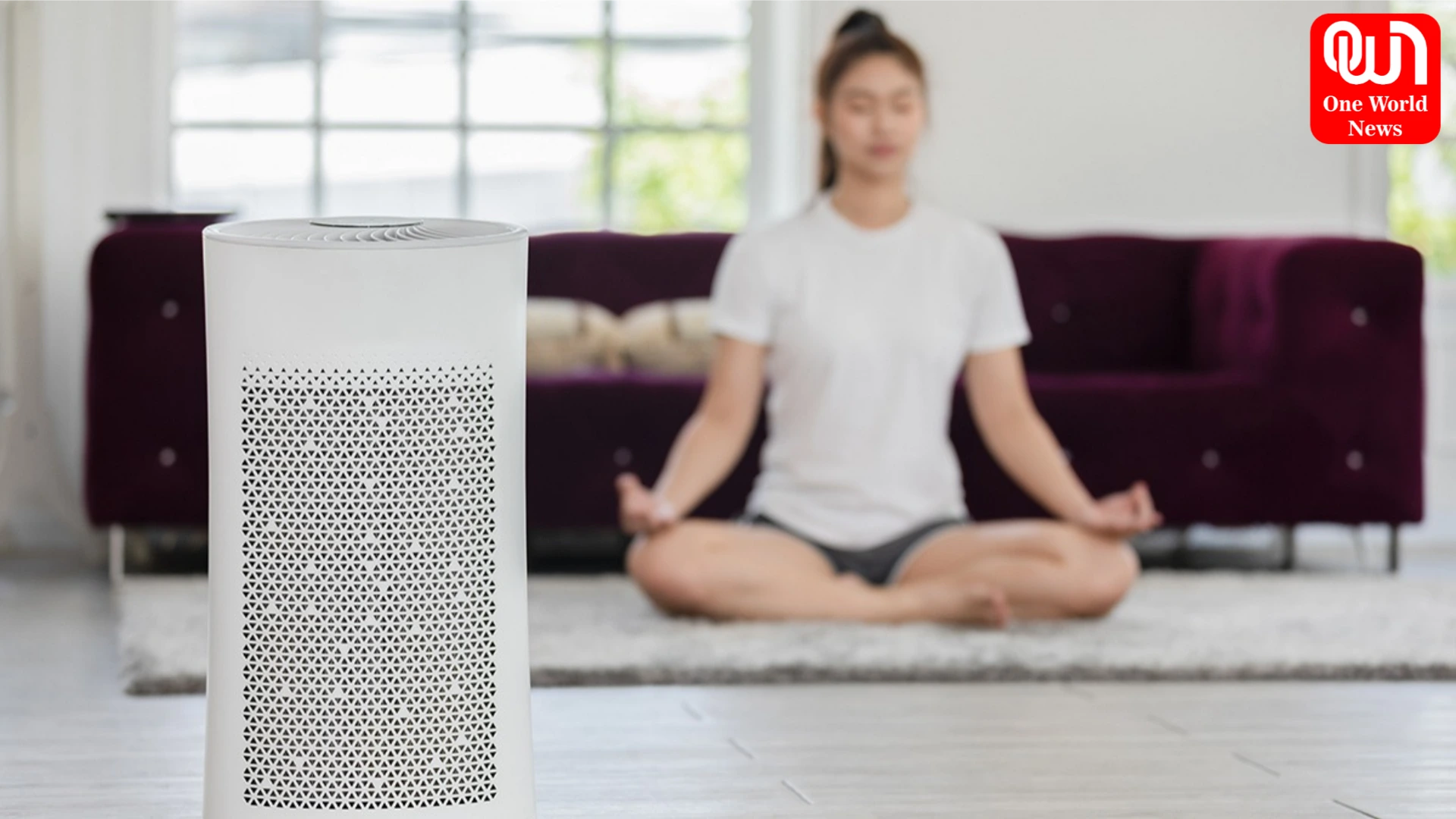 Air Purifier Health Risk