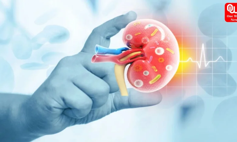 CKD Causes in Young Adults