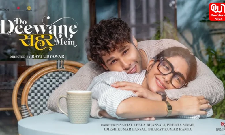 Do Deewane Seher Mein Review