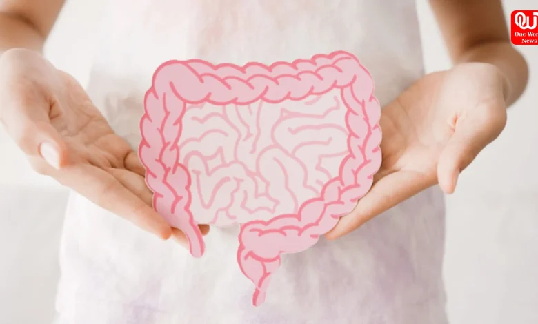 Gut Health