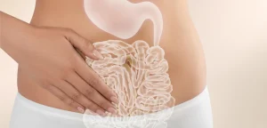 Gut Health and Women Hormones Explained