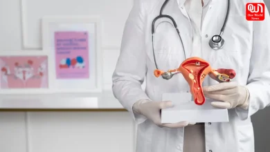 Gut Health and Women Hormones Explained