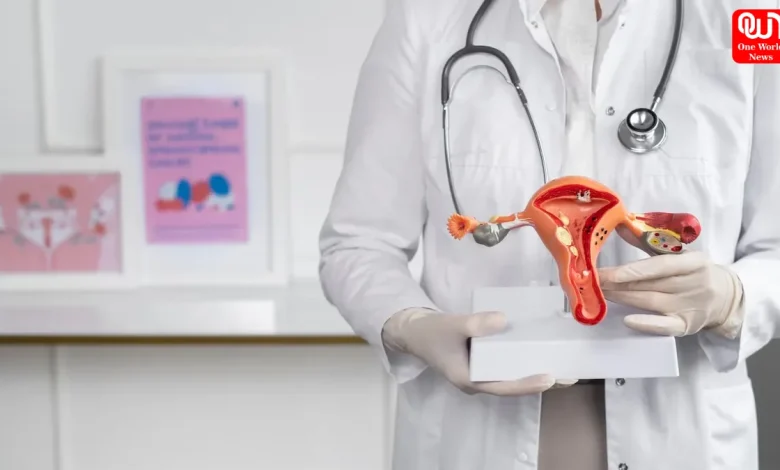 Gut Health and Women Hormones Explained