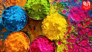 Homemade Holi Colors