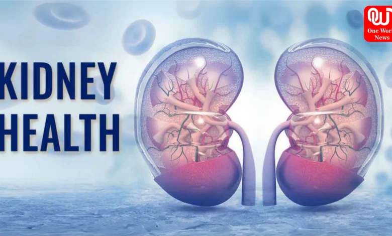 Kidney Health