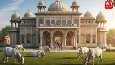 National Cow Culture Museum In Mathura