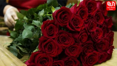 Rose Day 2026