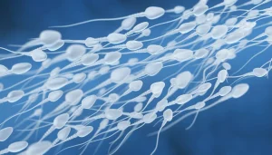 Sperm Quality in Men
