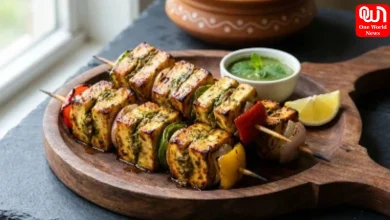 Stuffed Paneer Kebab