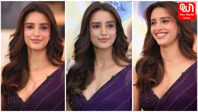 Tripti Dimri Saree Look