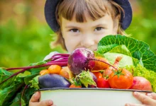 Vegan Diet Safe for Child