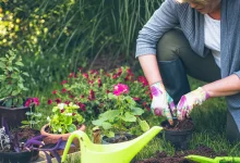 Benefits of Gardening for Mental Health