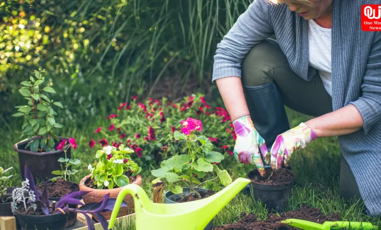 Benefits of Gardening for Mental Health