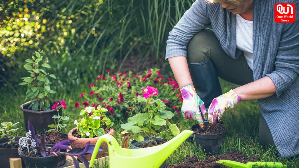 Benefits of Gardening for Mental Health