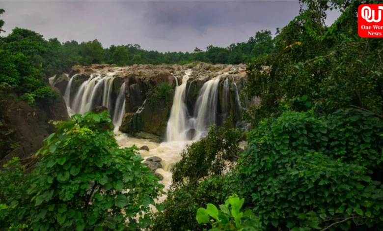 Explore Odisha