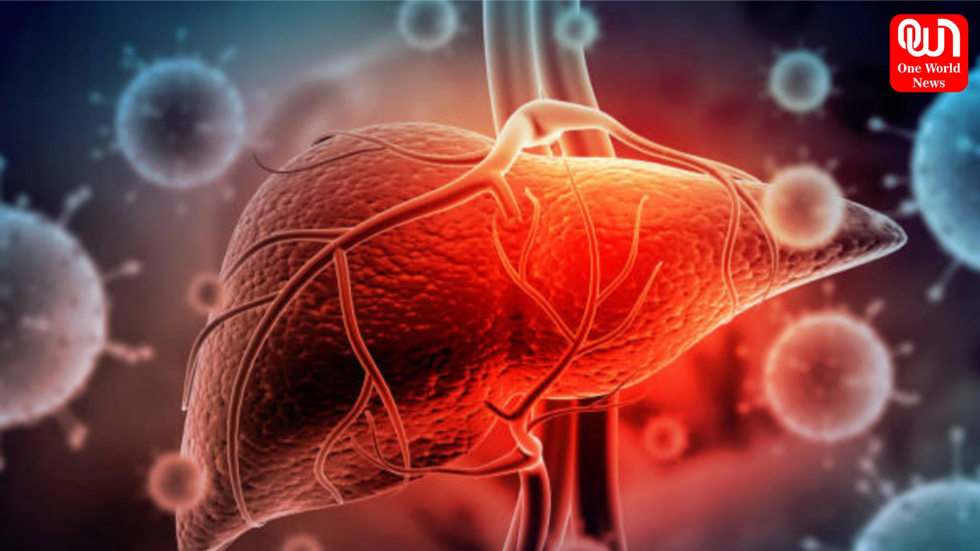 How To Keep Liver Healthy