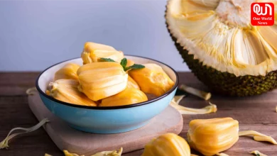 Jackfruit Benefits