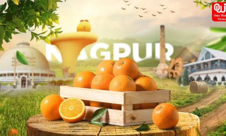 Orange City Nagpur