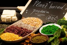 Plant-Based Protein