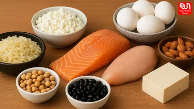 Protein