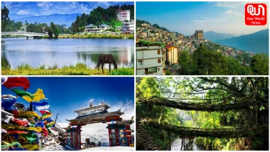 Summer Vacation 2026