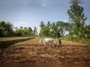 Farmer Day 2026