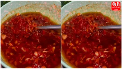 Garlic Chutney Recipe